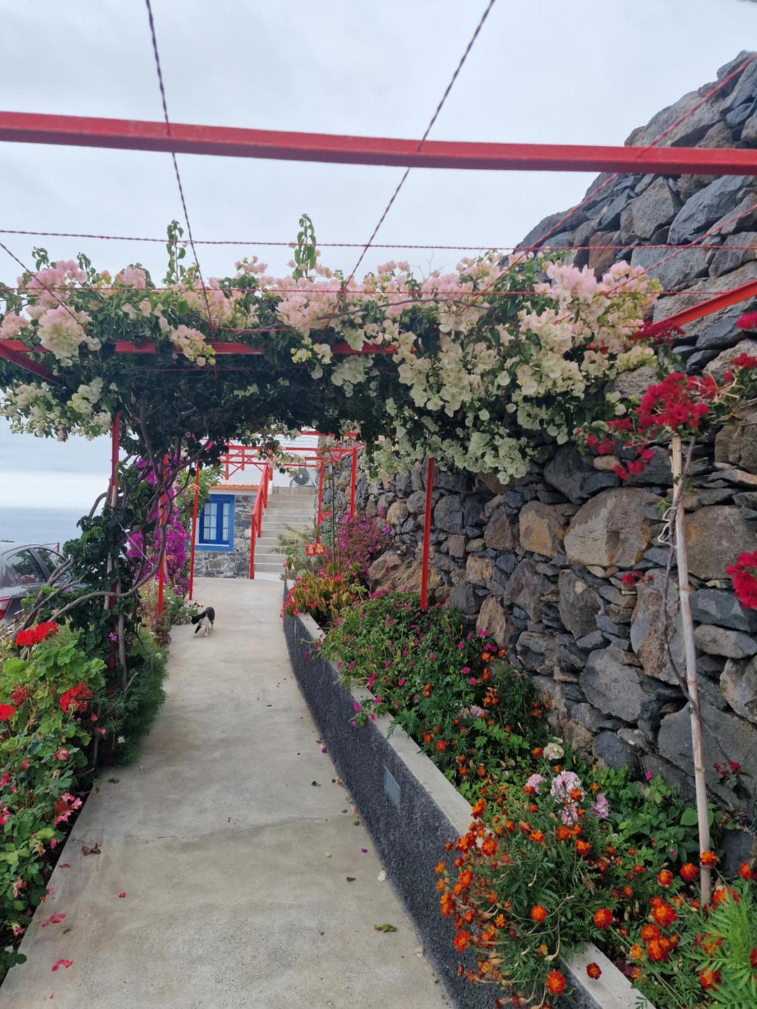 Casa Villa Dinastia Sotao Y Casa Villa Dinastia Miramar Рибейра-Брава Экстерьер фото